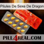Dragon Sex Pills new01